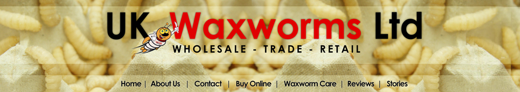 UK Waxworms Limited